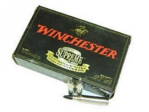 243 WIN Winchester Supreme BST/95Gr